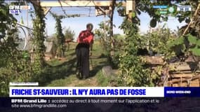 Friche Saint-Sauveur à Lille: abandon de la construction de la fosse de plongée au sein de la piscine olympique