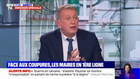 Délestages: "On n'est pas dans une logique géographique", affirme Jean-Paul Roubin (RTE)