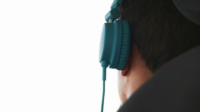 L'industrie musicale américaine est en pleine expansion sur la première moitié de l'année 2017.