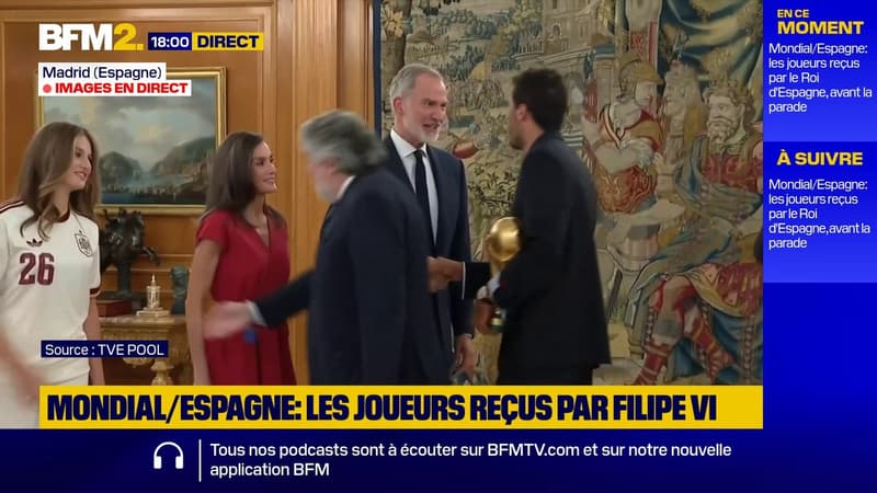 Mondial 2026: les champions espagnols reçus par le roi Felipe VI