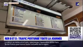 Paris: la galère des usagers du RER B et D