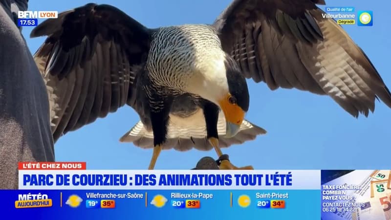 L'été chez nous: découverte du parc animalier de Courzieu, à l'ouest de Lyon (1/1)