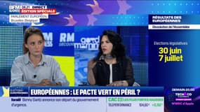 Européennes: le pacte vert en péril?