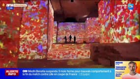 Baux-de-Provence: le Douanier Rousseau investit les Carrières des lumières