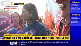 "On laisse entrer le loup dans la bergerie": Sophie Binet en visite sur le site de Vencorex