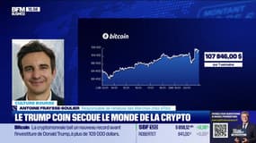 Culture Bourse : Le Trump coin secoue le monde de la crypto, par Antoine Larigaudrie - 20/01