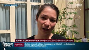 Des fruits et légumes bios cultivés dans des serres chauffées, "un contre-sens environnemental” dénoncé à travers une pétition