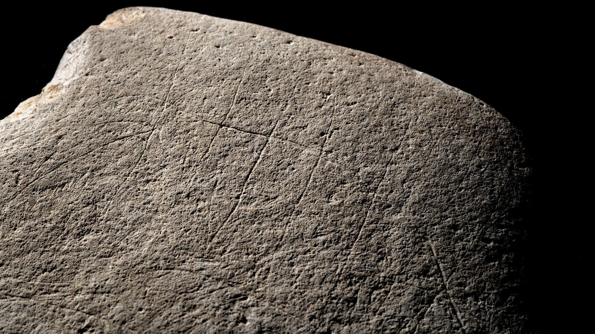 Bloc de grès gravé d'Angoulême (-12 000 ans), détail de la ligne dorsale d'un cheval. Bloc de grès gravé d'Angoulême (-12 000 ans), détail de la ligne dorsale d'un cheval.