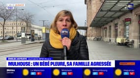 Mulhouse: un homme interpellé après l'agression au couteau de deux passagers d'un train