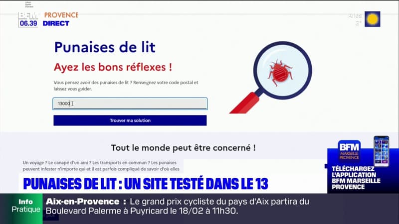 Bouches-du-Rhône: un site contre les punaises de lit testé dans le département