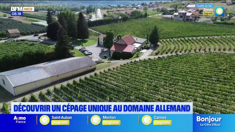 Bonjour la Côte d'Azur du lundi 24 août 2026