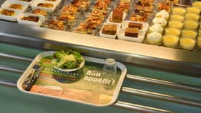 La polémique se poursuit à propos de l'absence de viande dans les cantines scolaires de Lyon