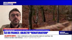Île-de-France: renforcer la végétalisation au niveau des îlots de chaleur