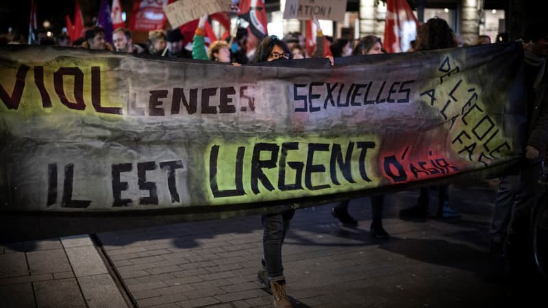 Une manifestation organisée par le collectif Nous Toutes, à Toulouse, le 25 novembre 2021. (photo d'illustration)
