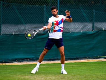 Novak Djokovic lors d'un entraînement à Wimbledon, en juin 2022.