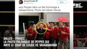Galles - France : La photo polémique de Peyper qui imite le coup de coude de Vahaamahina