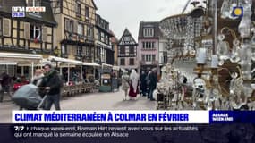 Haut-Rhin: une douceur exceptionnelle à Colmar en février