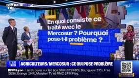 En quoi consiste le Mercosur, pourquoi pose-t-il problème? BFMTV répond à vos questions