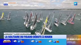 La Solitaire du Figaro s'installe ce samedi à Rouen pour sa 55e édition
