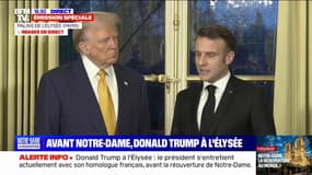 Donald Trump reçu à l'Élysée: "Le monde devient fou et on va en parler"
