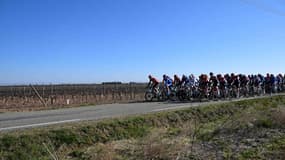 Le peloton lors de la première étape de l'Etoile De Besseges, le 05/02/2025
