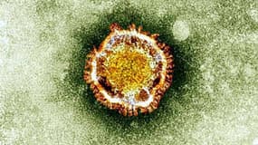Le coronavirus vu au microscope - Image d'illustration 
