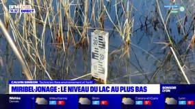 Miribel-Jonage : le niveau du lac est au plus bas