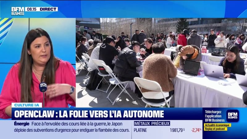 Openclaw : la folie vers l'IA autonome