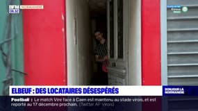 Seine-Maritime: des locataires désespérés à Elbeuf
