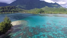 L'île de Motu Tiano en Polynésie française sera proposée aux enchères à la fin du mois d'août.