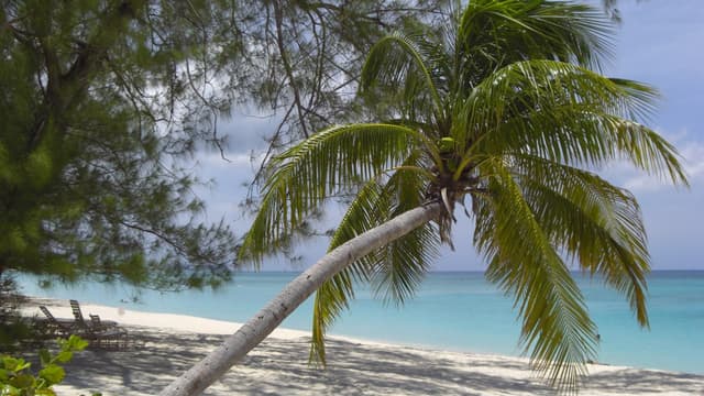 Netflix détient une boîte aux lettres à Grand Cayman