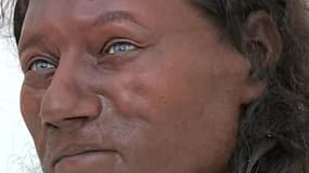 Des scientifiques ont reconstitué un ancêtre des Britanniques vieux de 10.000 ans