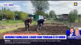 Jardins familiaux: louer un terrain à Saint-Omer pour faire des économies