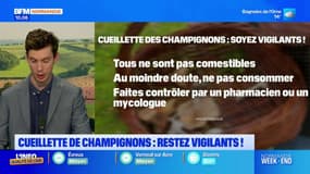 Découvrez les coulisses du jumping international de Saint-Lô