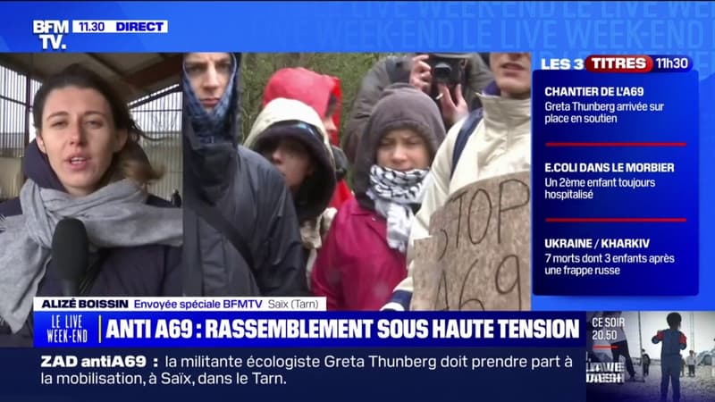 Greta Thunberg a pris part à la mobilisation contre le projet de l'autoroute A69 dans le Tarn