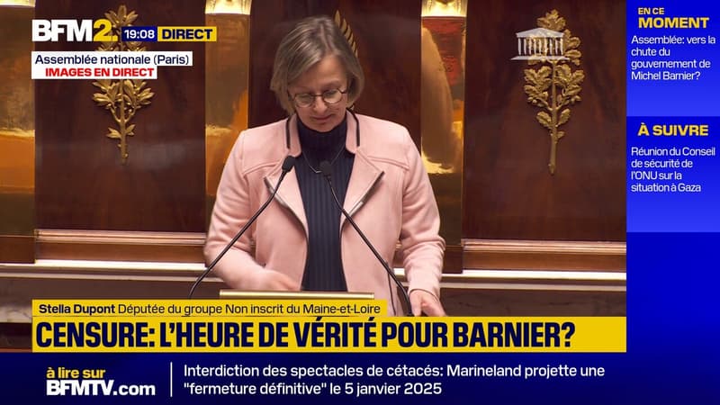 Motion de censure: Stella Dupont (députée non-inscrite) appelle à 