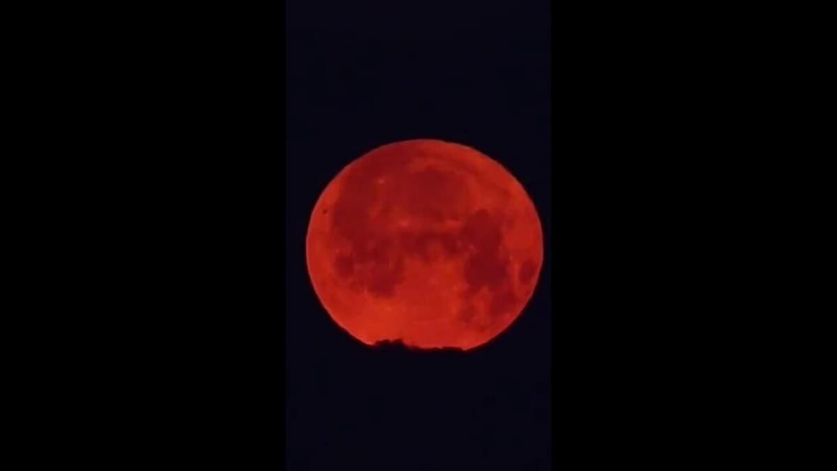 placeholder video