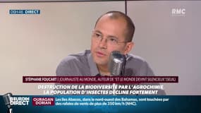 Comment l’agrochimie a détruit la biodiversité et tué les insectes?