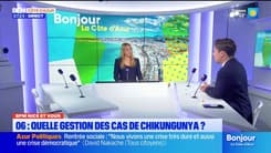 BFM Nice et vous : comment les cas de chikungunya sont-ils gérés dans les Alpes-Maritimes ?