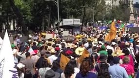 Manifestation anti-Trump au Mexique - Témoins BFMTV