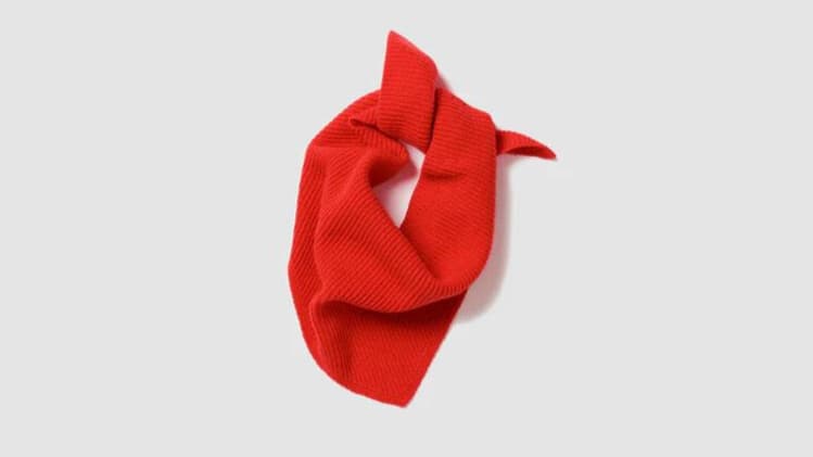 Foulard And Daughter 