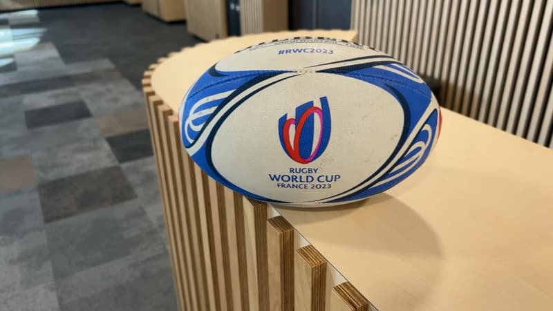 Coupe du monde de rugby 2023: la métropole de Lille recherche des bénévoles