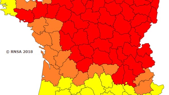 Les risques d'allergies aux pollens de bouleaux envahissent la majeure partie de la carte