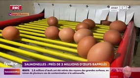 Salmonelles: près de 3 millions d'œufs rappelés  