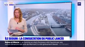 Aménagement de l'île Seguin: lancement de la consultation du public