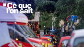 Ce que l'on sait de la voiture qui a foncé sur la terrasse d'un restaurant du 20e arrondissement de Paris, faisant un mort et au moins six blessés mercredi 17 juillet 2024.