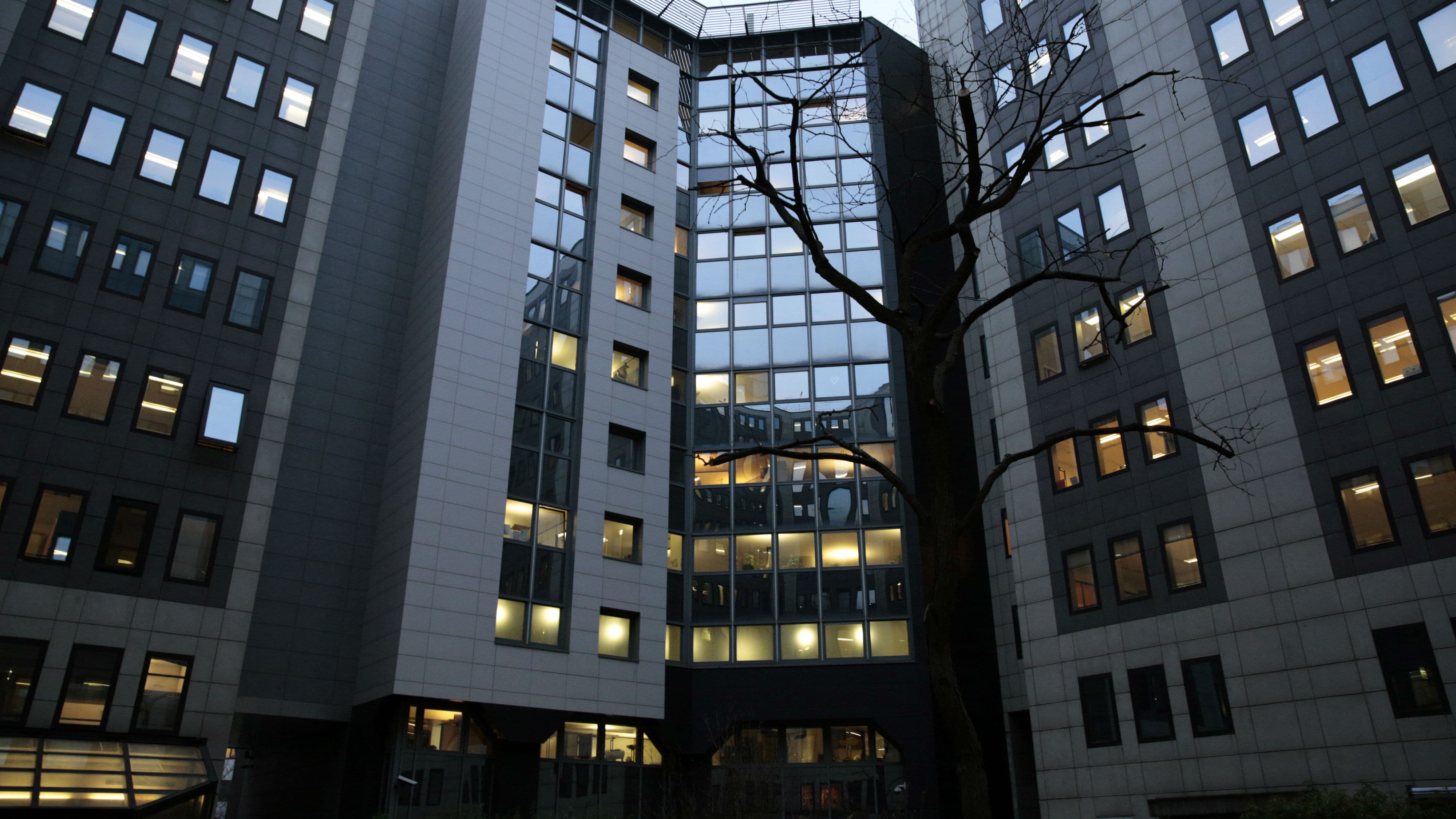 Adrien Labi, propriétaire