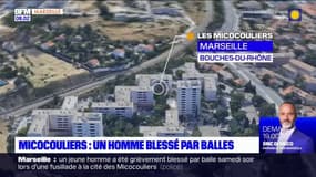 Marseille: un jeune homme grièvement blessé par balle après une fusillade à la cité des Micocouliers