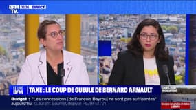 Perrine Goulet: “[Bernard Arnault] oublie de dire qu’on a baissé depuis 7 ans l’imposition sur ces grandes entreprises”