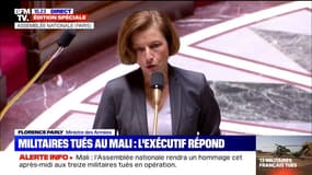 Florence Parly remercie l'Assemblée nationale pour la minute de silence en hommage aux 13 soldats morts au Mali